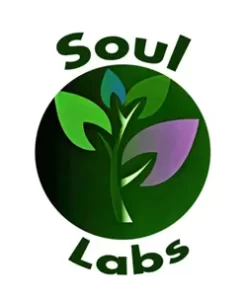 Soul Labs CBD